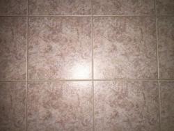 Blk 228 Tampines Street 23 (Tampines), HDB 3 Rooms #81957462